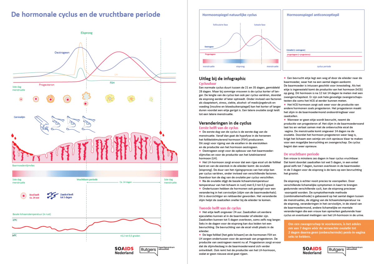 Infographic over de hormonale cyclus en vruchtbare periode
